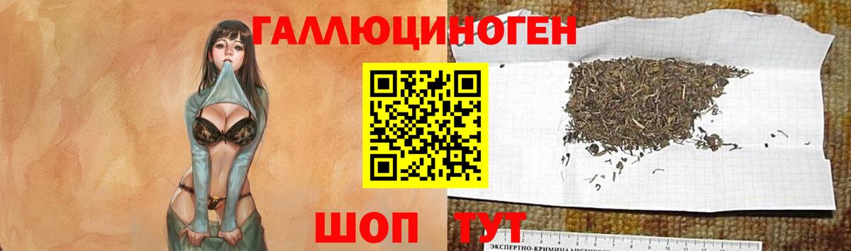 Псилоцибиновые грибы GOLDEN TEACHER  Вход с VPN  Богданович 